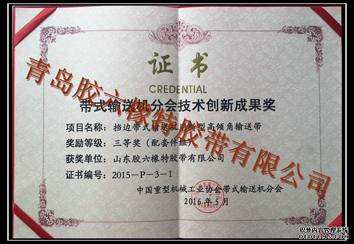 中國(guó)帶機(jī)協(xié)會(huì)技術(shù)創(chuàng)新成果證書(shū)